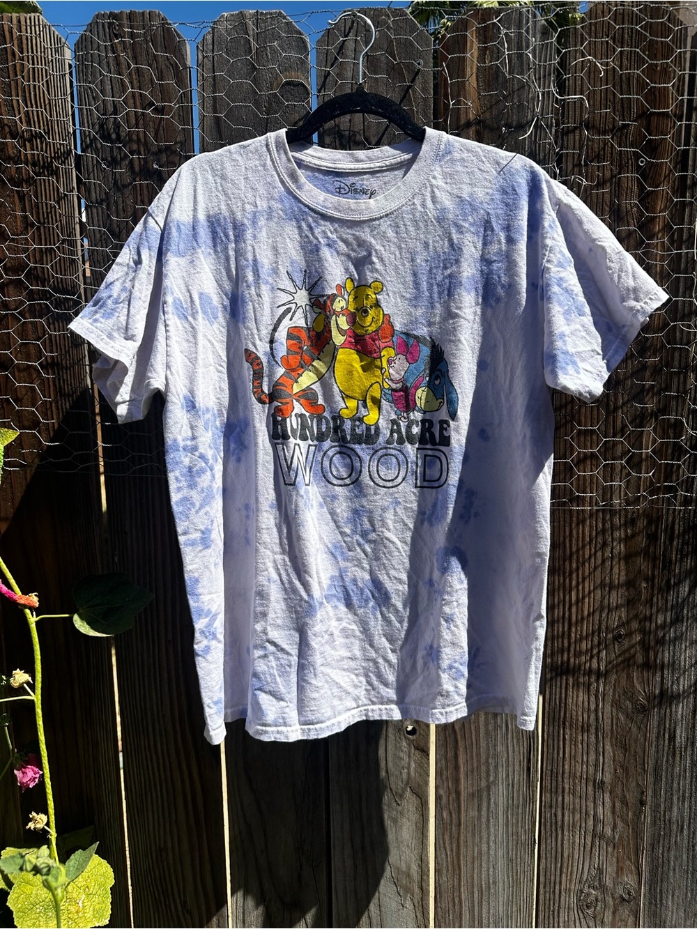 Disney Tie Dye Winnie the Pooh Hundred Acre Wood Tee